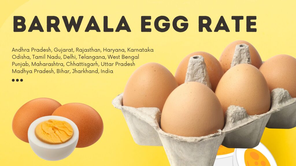 Today Egg Rate